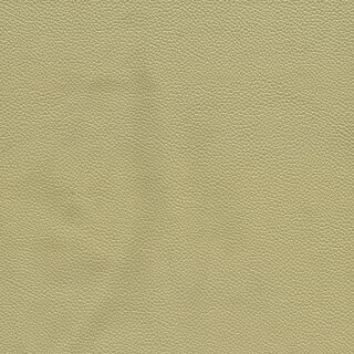 1110 - ivory