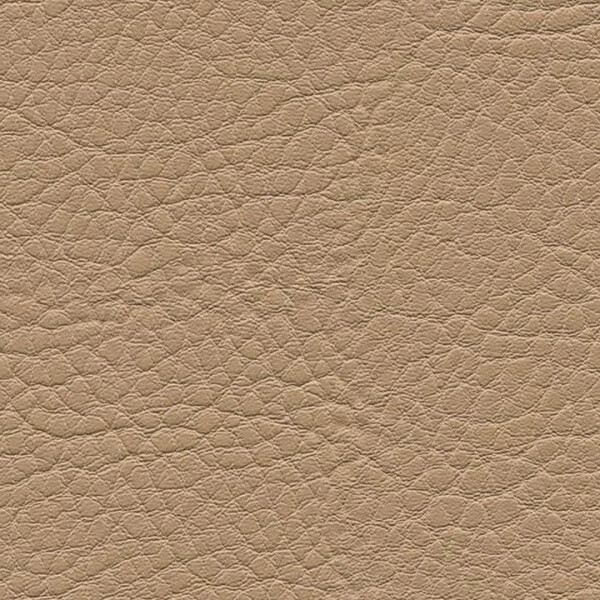 1187 - sand