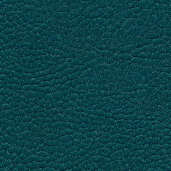 0823 - petrol