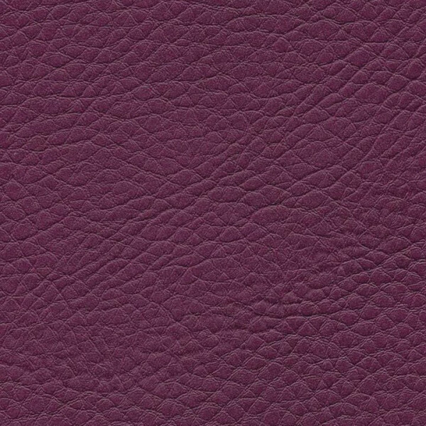 1126 - cyclam