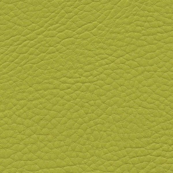 1017 - limone