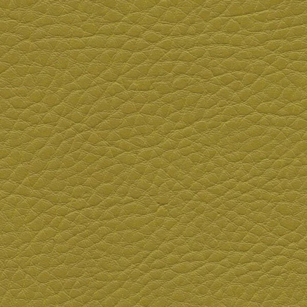 1125 - olive