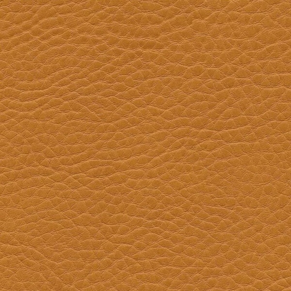 1124 - nature