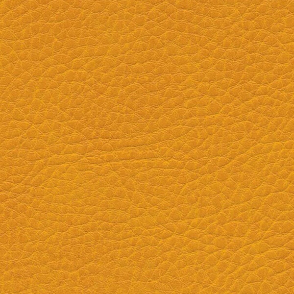 0636 - mango