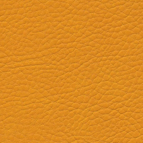 0958 - mango