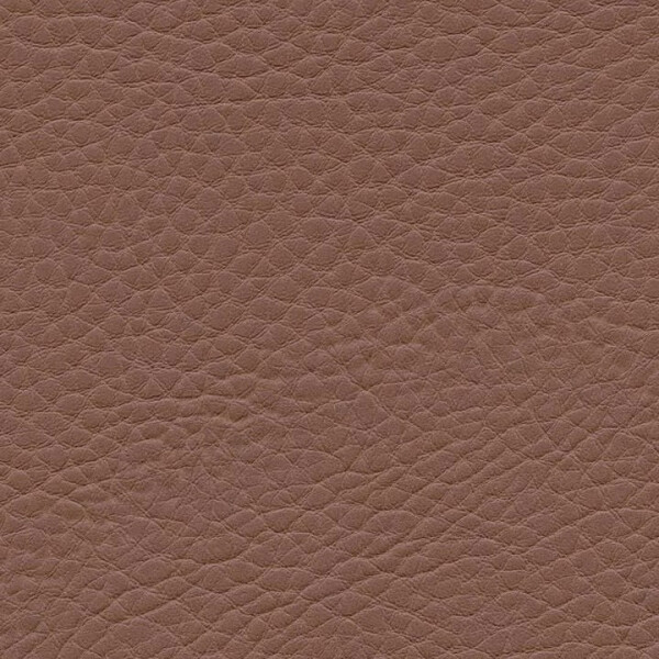 1170 - hazelnut