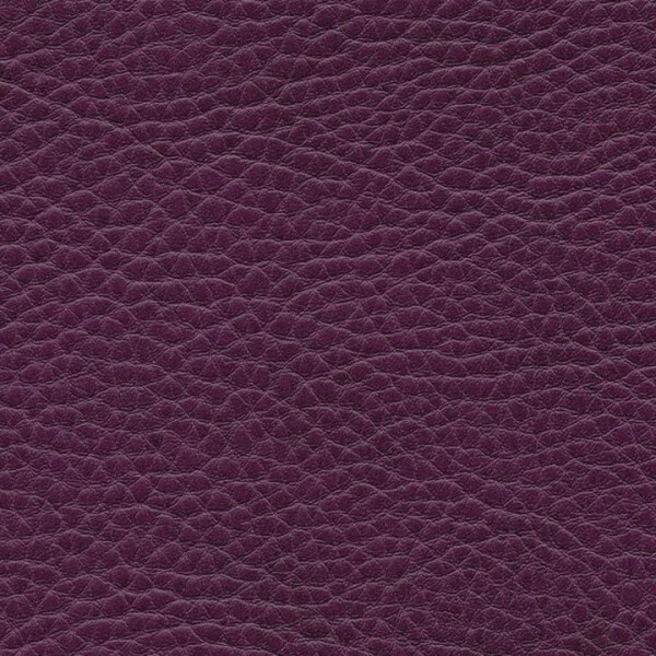 1180 - cyclam