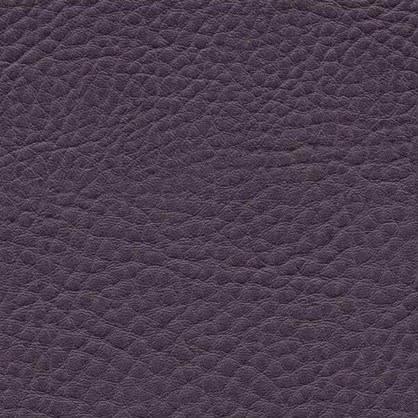 1171 - purple