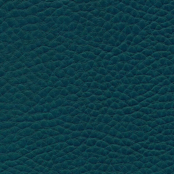 1181 - petrol