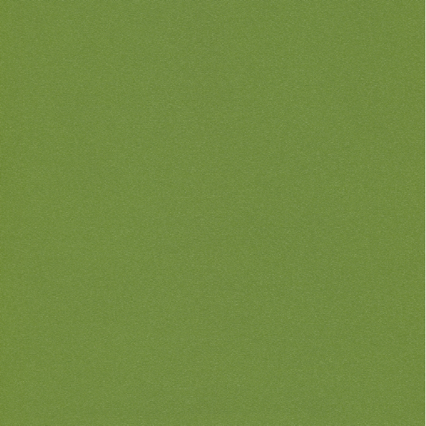 3077 - kaktus