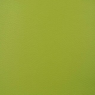 0013 - lime