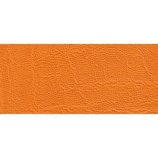 6299 - papaya