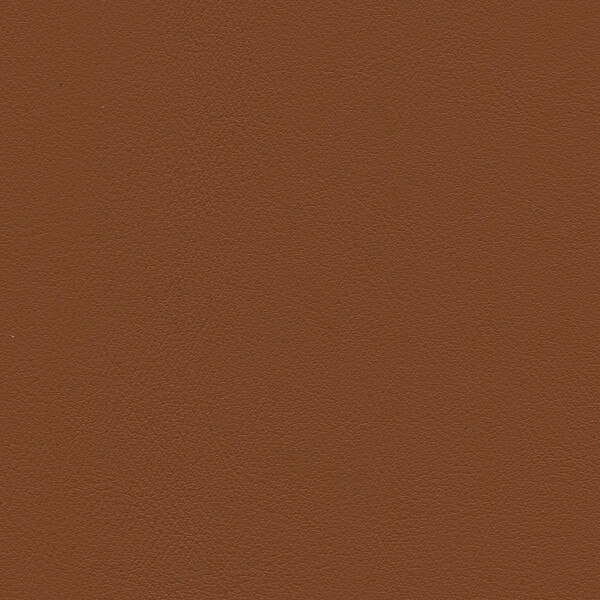2600 - cognac