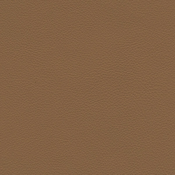 2769 - safari
