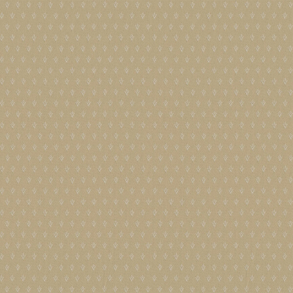 135 - champagne
