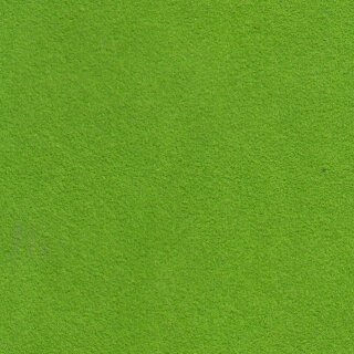 1581 lizard green