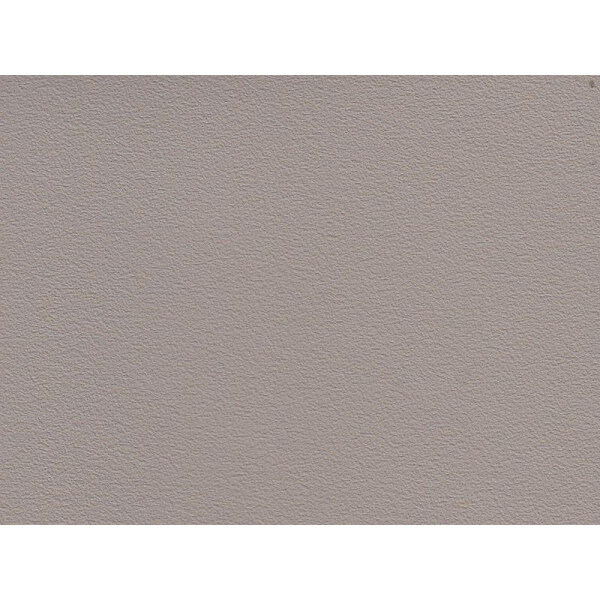 birch F6471085