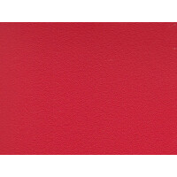 fire F6471095