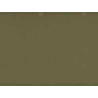 cactus F6471107