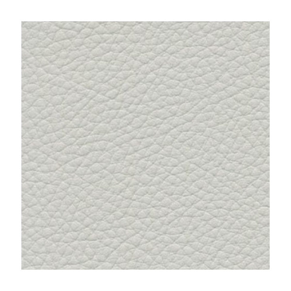 ashgrey F6471011
