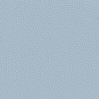 ice blue F6471082