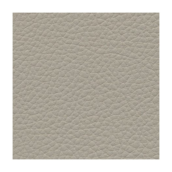 birch F6471004