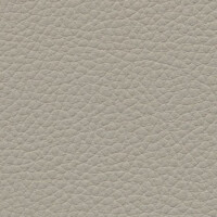 birch F6471004