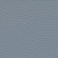 stone blue F6471001