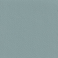 sage F6471024