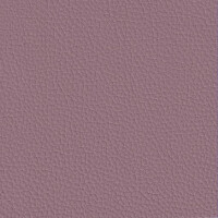 nougat F6471025