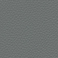 slate grey F6471012