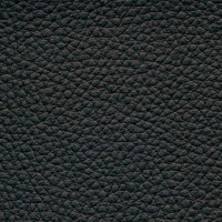 black F6471016