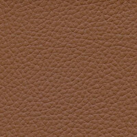 chestnut F6471007