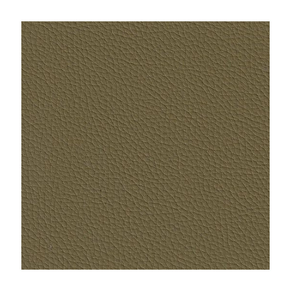 cactus F6471081