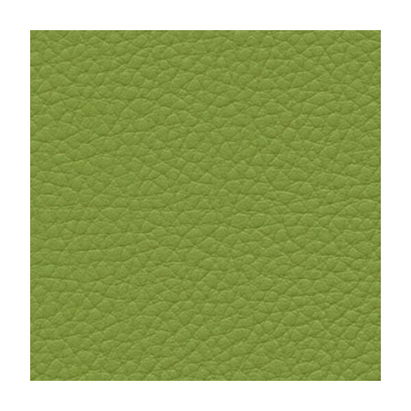 olive green F6471014