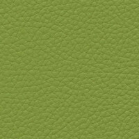 olive green F6471014