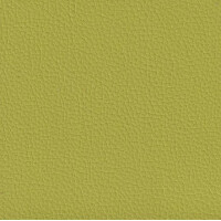 lime F6471019