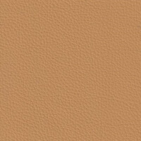 golden yellow F6471078