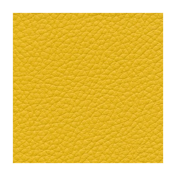 corn F6471013