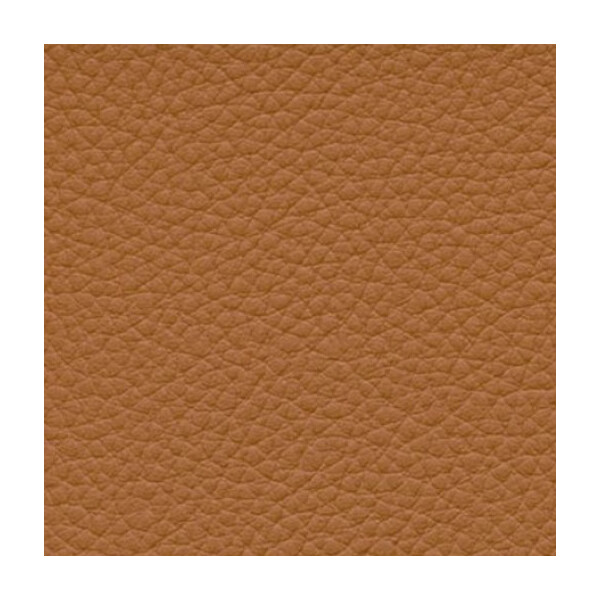 cashmere F6471006