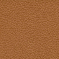 cashmere F6471006