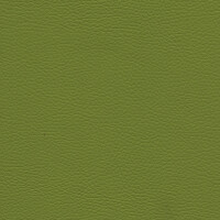 2240 - limettengrün