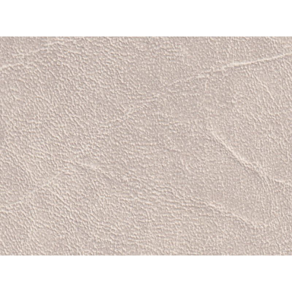 K5401 bone