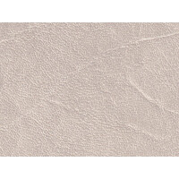 K5401 bone