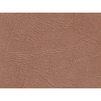 K5403 camel