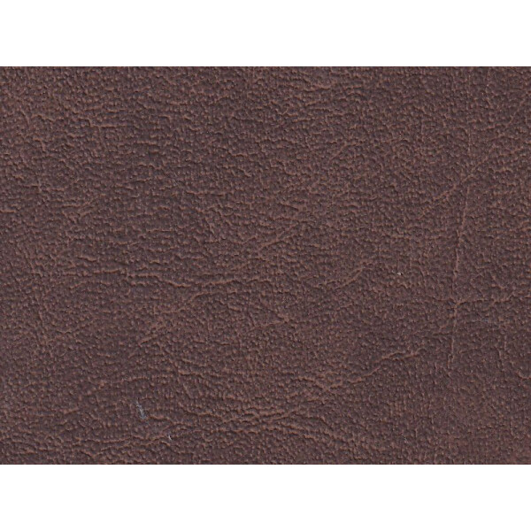 K5406 bison