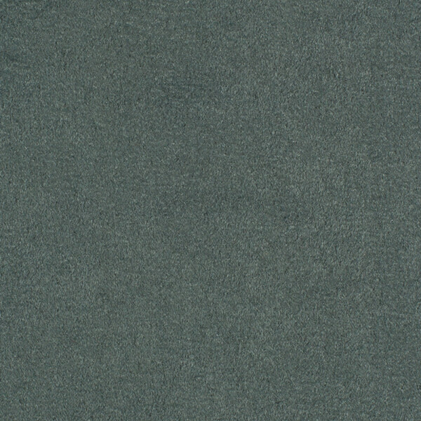 shark grey