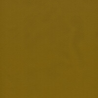 1260 - senf
