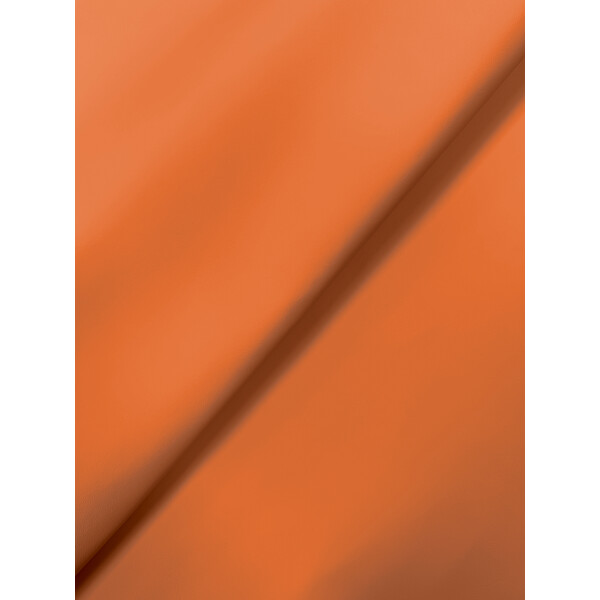 P4823 arancia leonis