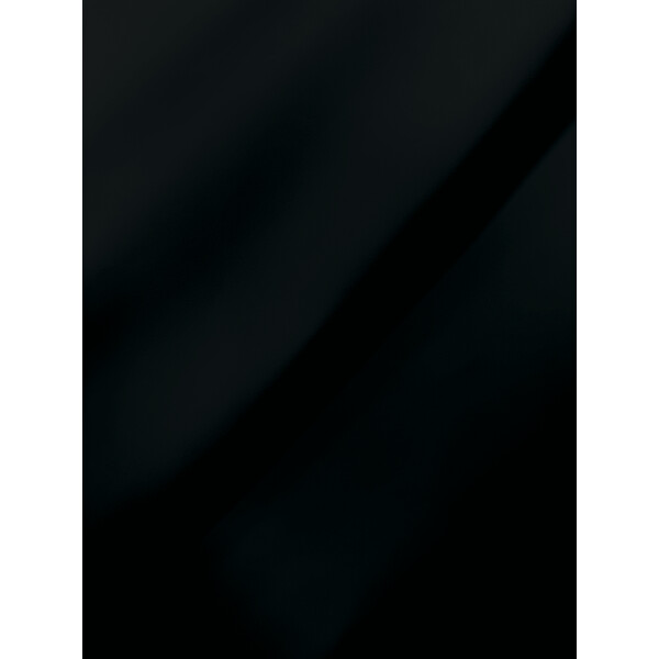 P0500 schwarz